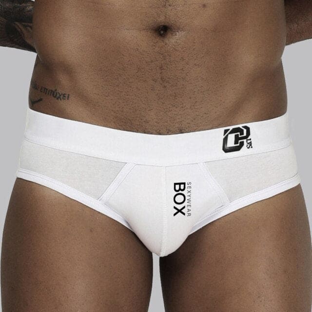 ORLVS Sexy Men's Underwear Fashion Modal Hole Briefs Underpants for Men  OR6215